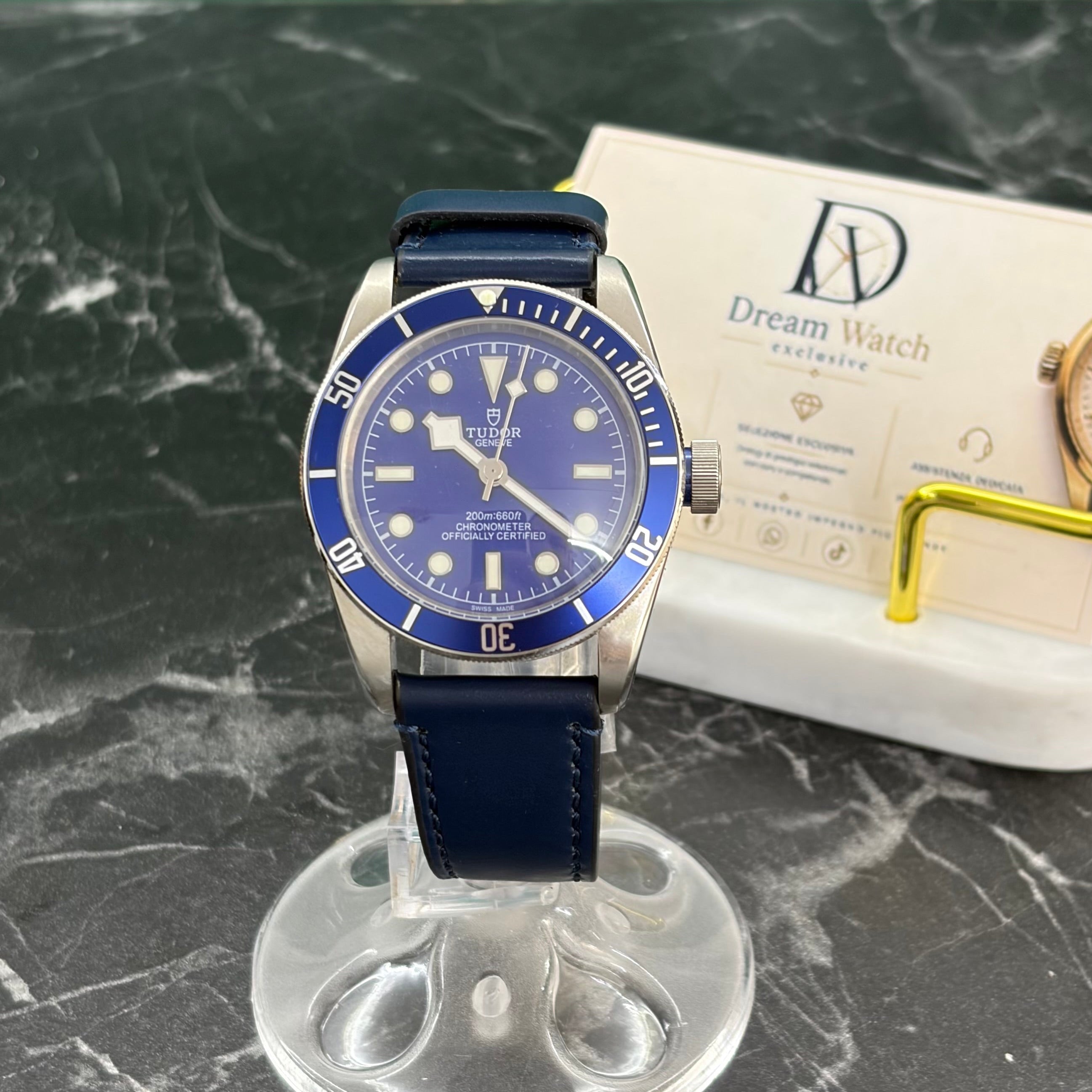 TUDOR black bay