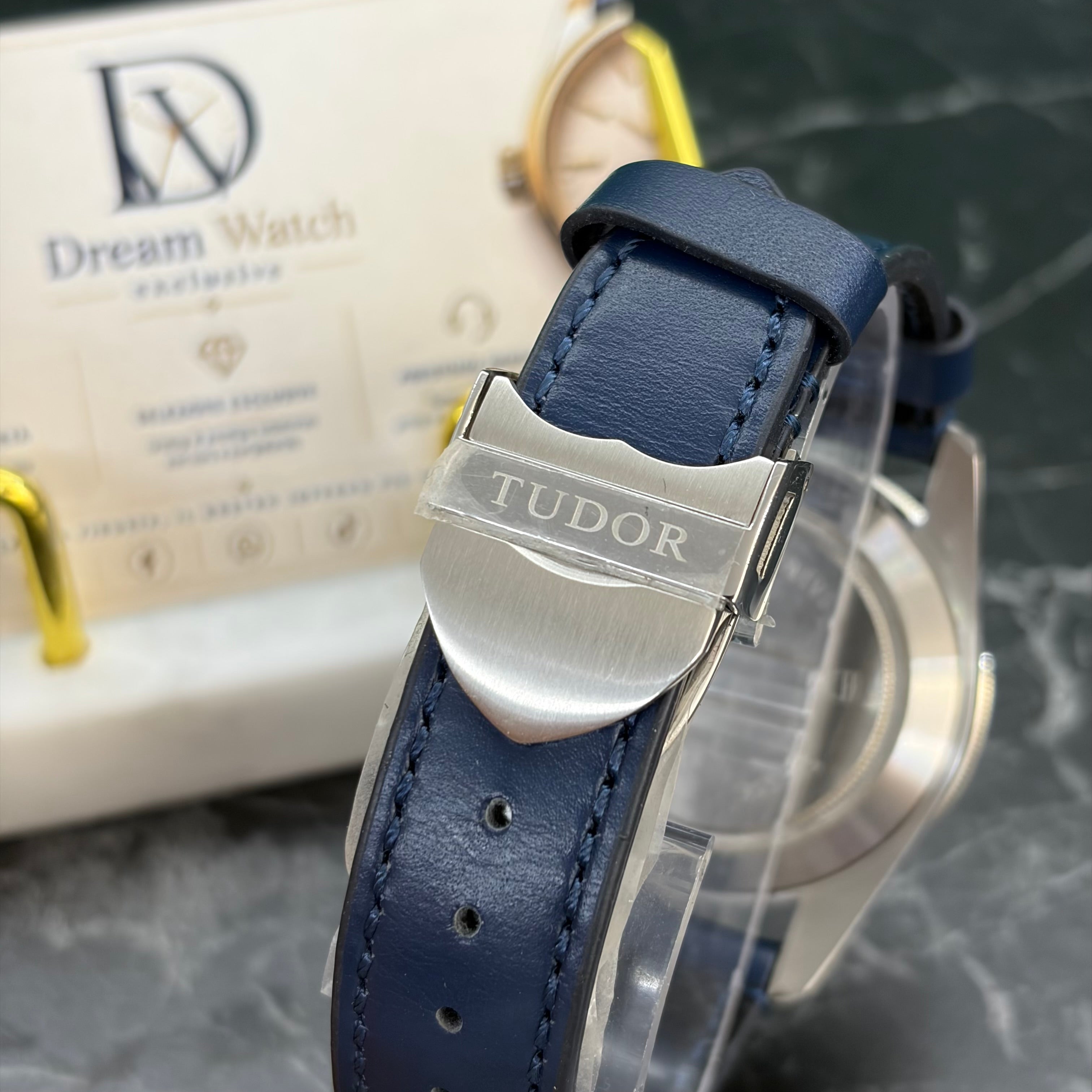 TUDOR black bay