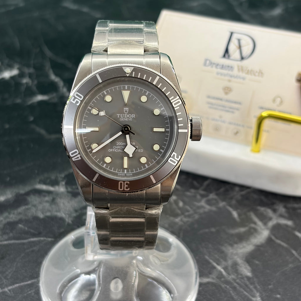 TUDOR gmt